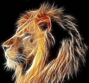 A nice fractal lion – YLoveBigCats