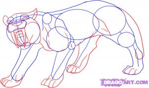 how-to-draw-a-saber-tooth-tiger-step-3