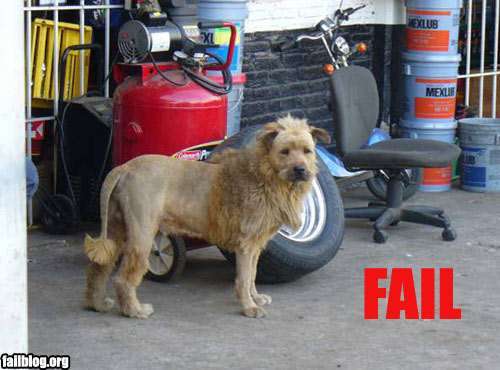fail-owned-lion-fail