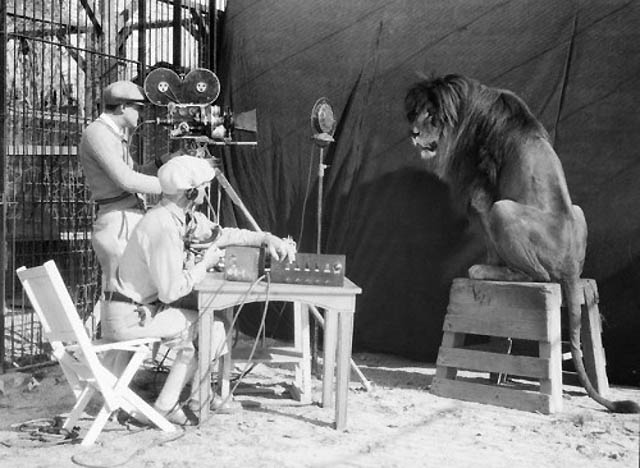 Shooting the MGM lion logo (in 1929)