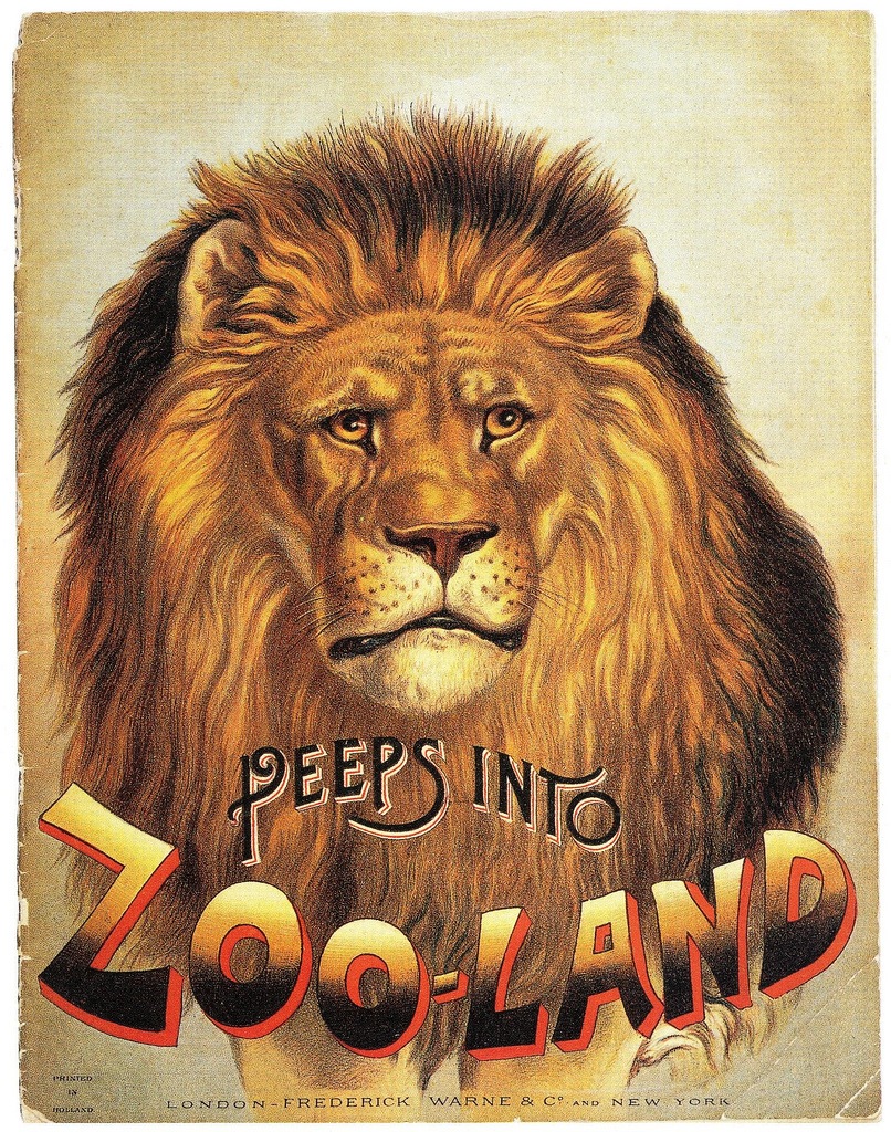 lion_peeps_into_zoo-land